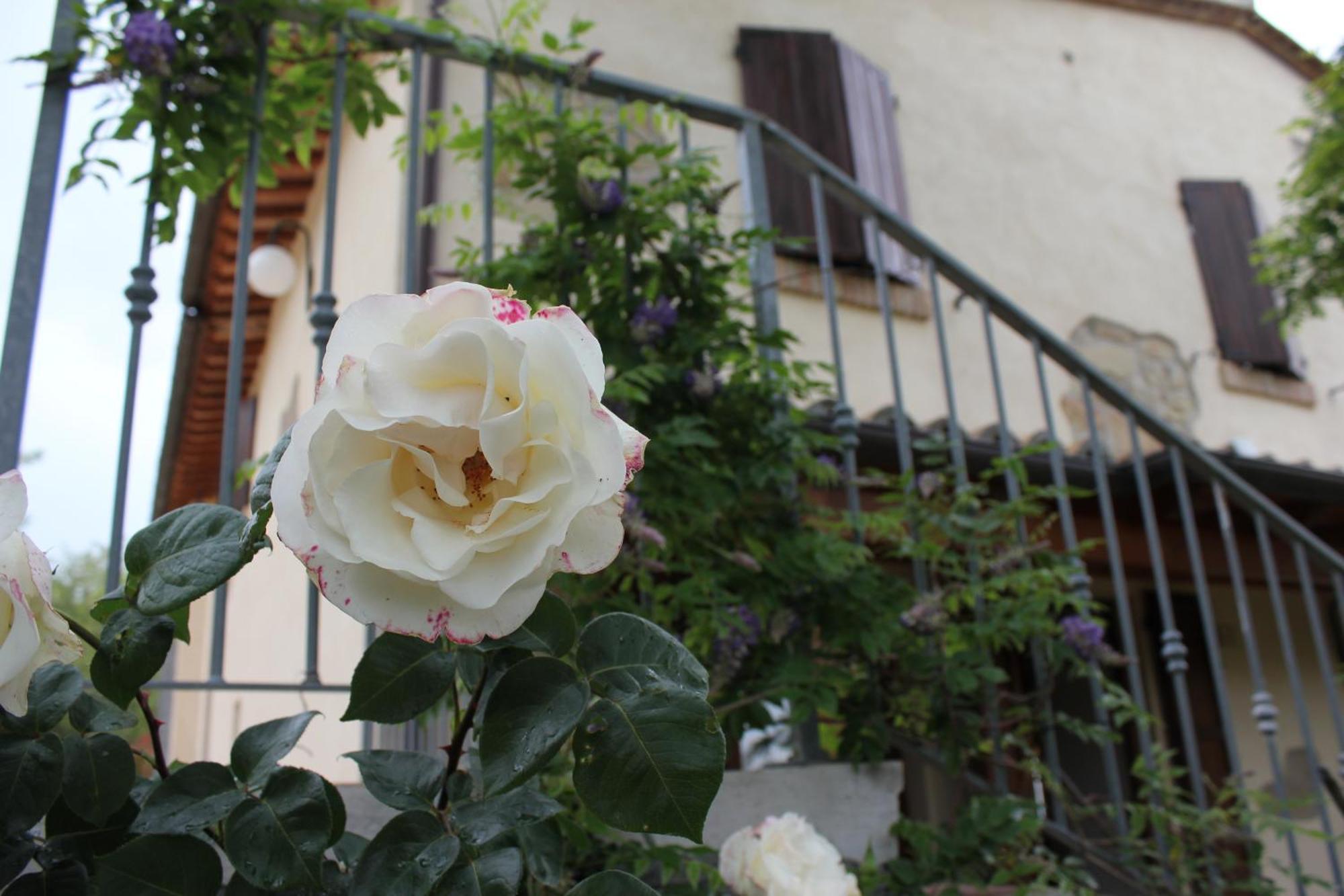 Agriturismo La Valle Del Vento 우르비노 외부 사진