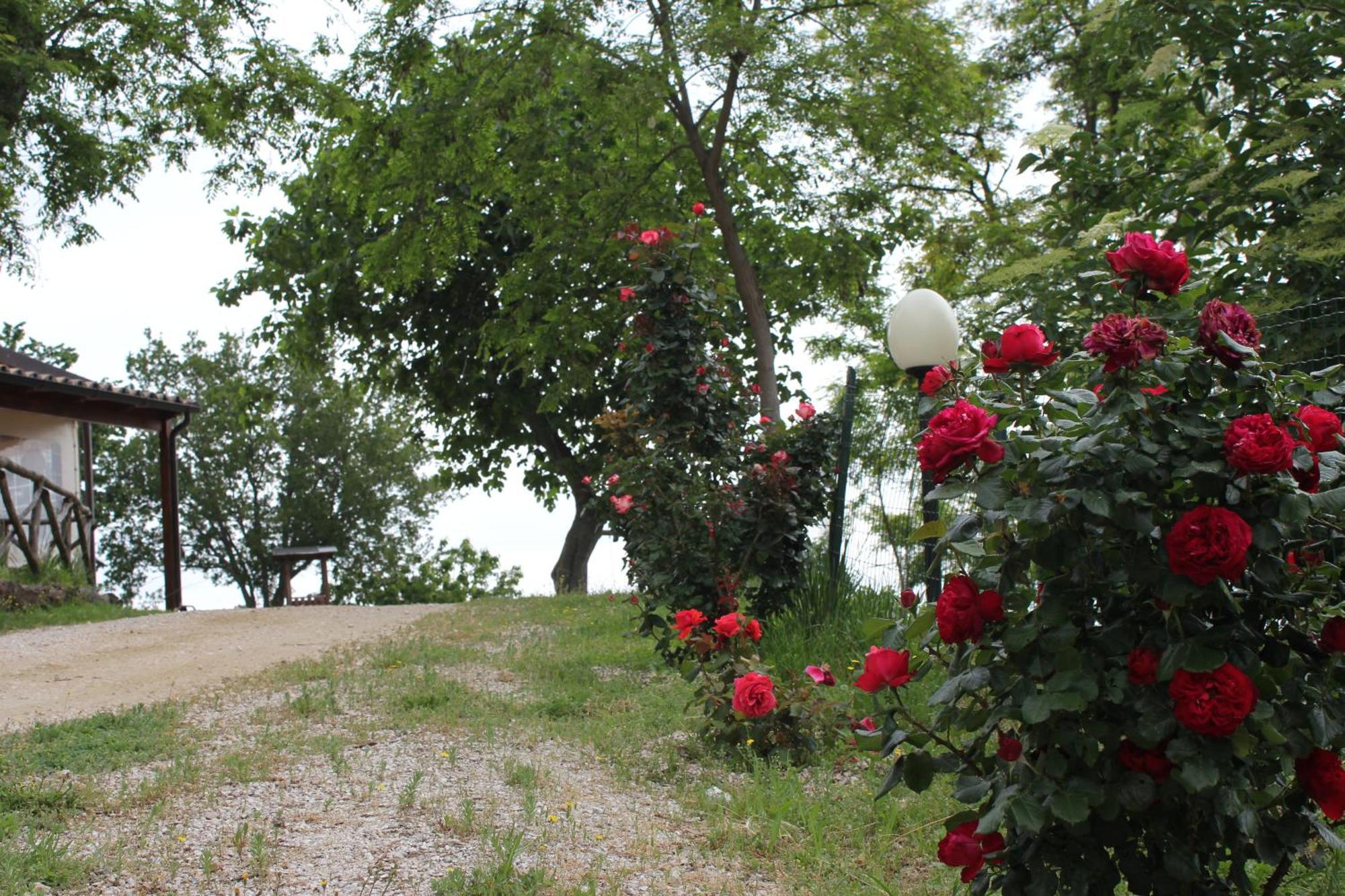 Agriturismo La Valle Del Vento 우르비노 외부 사진